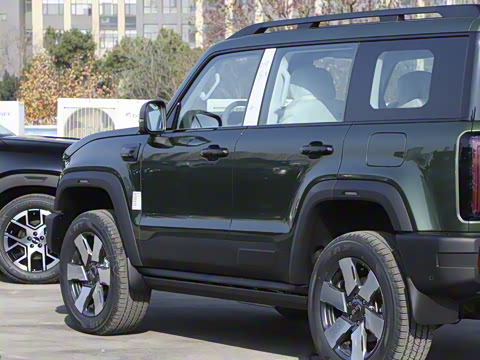 2025�� Ԫ�����а�