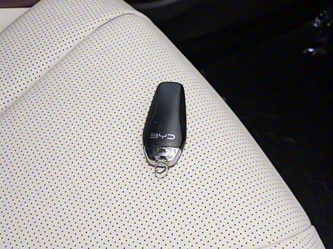 2026�� DM-i 1.5T 230km ������