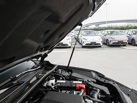 2026�� 2.0L ��ѡ��