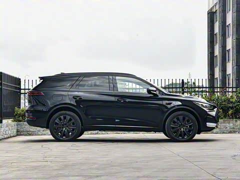 2025�� �Ǽݰ� DM-i 175KM ������