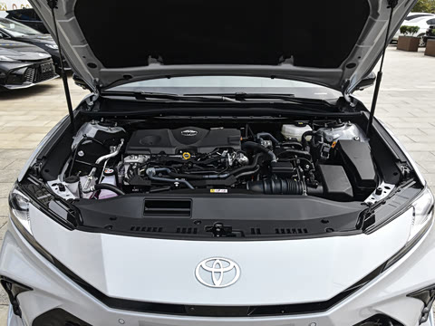 2026�� ˫�� 2.5HXS �˶�Plus��