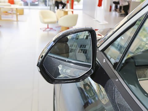 2025�� Max ������