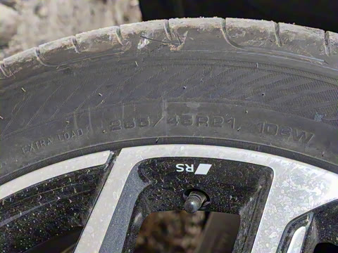 2026�� ����������