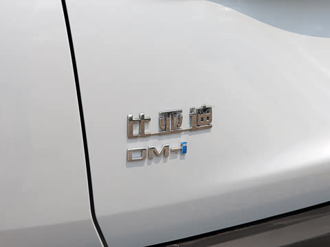 2026�� DM-i 205KM ������