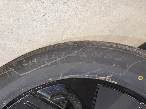 2026�� 625 Max �Ƽ���