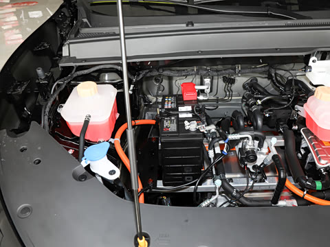 2026�� 530km ������