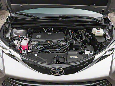 2026�� 2.5L ˫��������������