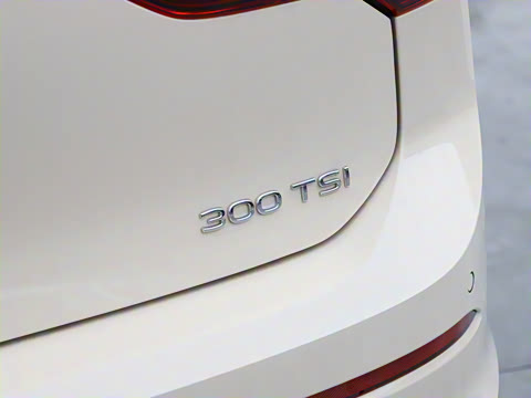2025�� �Ŀ� 300TSI Pro