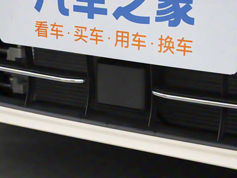 2025�� �Ŀ� 300TSI Pro