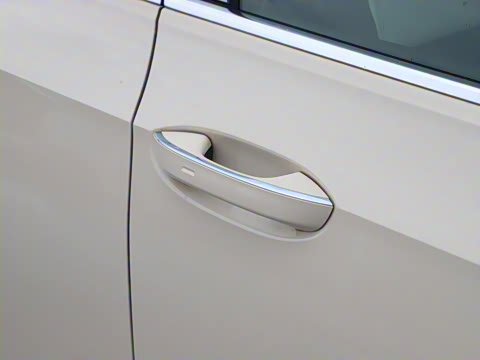 2025�� �Ŀ� 300TSI Pro