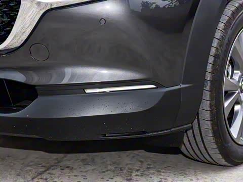 2025�� 2.0L �Զ�������