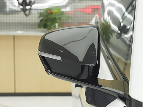 2025�� 205km Pro+�����״��