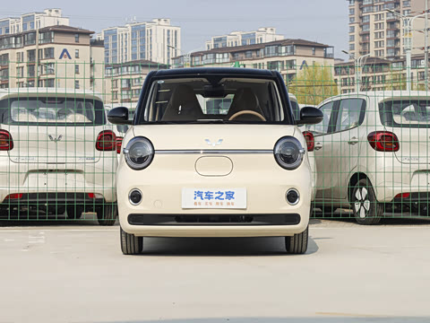 2026�� ����� 205km ���׿�