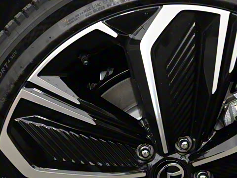 2025�� ����600 Max