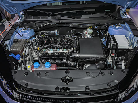 2026�� 1.5L ��϶���