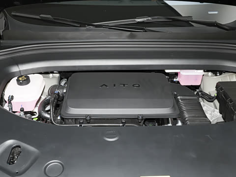 2026�� ���� Max������ 5��