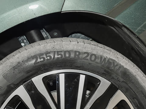 2025�� ������