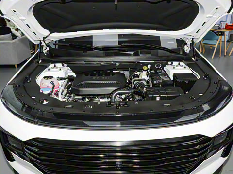 2025�� 1.5T �������Ȱ� 5��