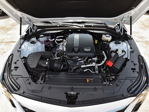 2025�� 28T �����˶���