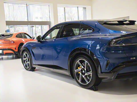 2025�� ������������Pro��