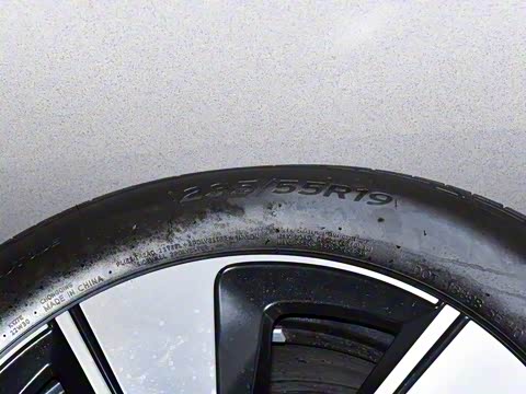 2025�� �Ŀ� ������ ����������