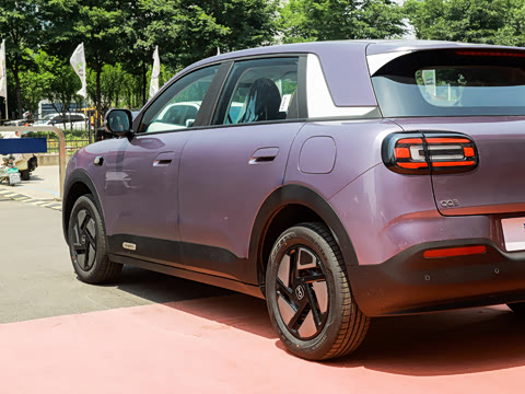2026�� 310�Ȱ���