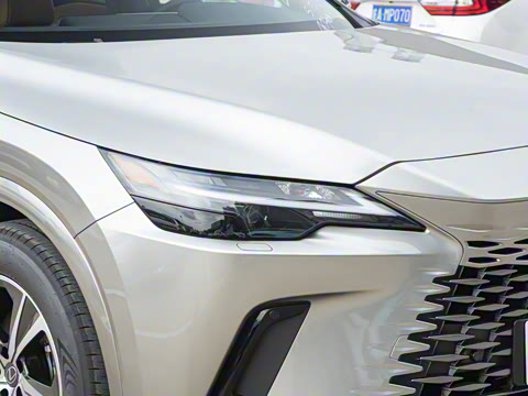 2026�� 300 ����������