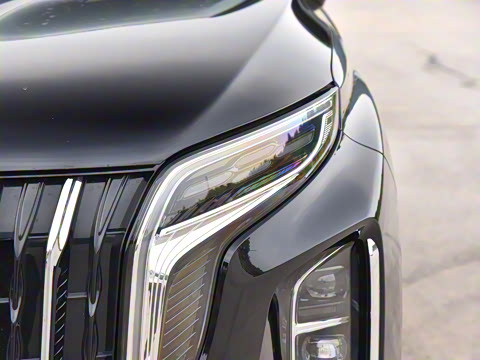 2025�� 2.0T PHEV ��������� 7��