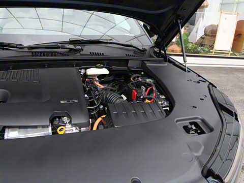 2026�� ������������Plus