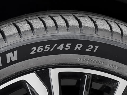 2026�� �������̳����