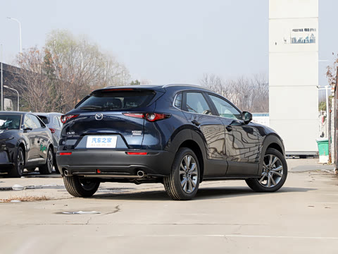 2025�� 2.0L �Զ�������