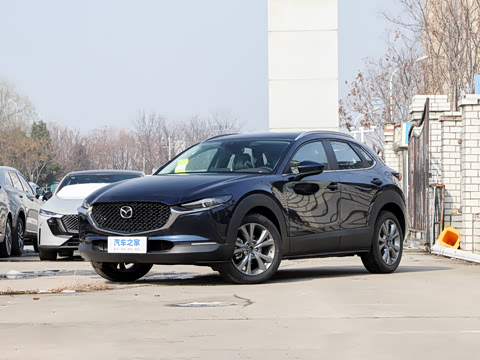 2025�� 2.0L �Զ�������