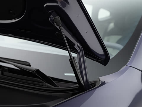 2026�� Max ˫������̰�