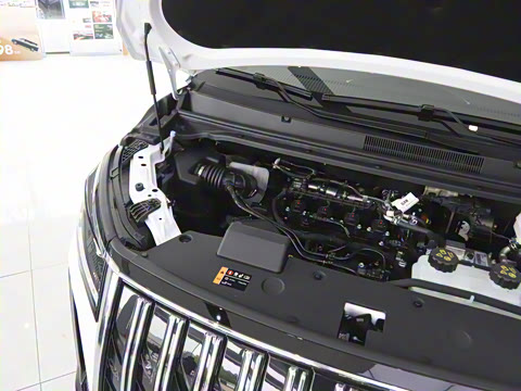 2026�� ���̰� 230������ 7��