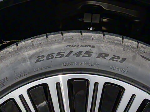 2025�� ���� Max+ ������������ 