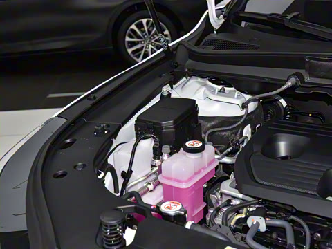 2026�� 350h ����������