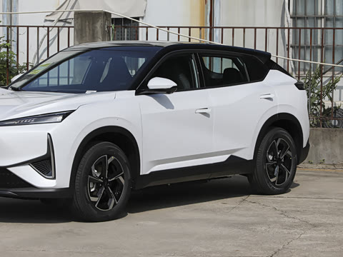 2026�� 530������