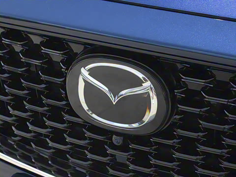 2025�� 2.0L �Զ���������Pro