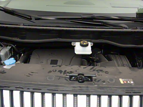 2025�� ������ɽ7