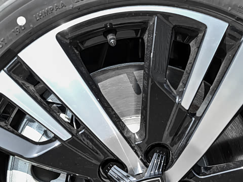 2025�� �콢��