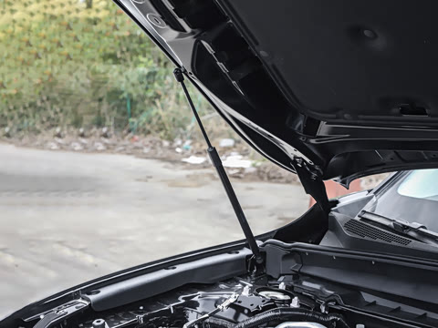 2026�� 2.5L ���а�