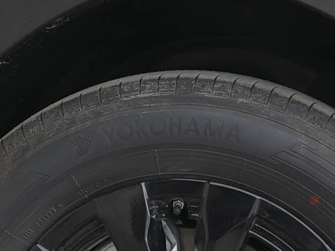 2026�� 2.5L ���а�