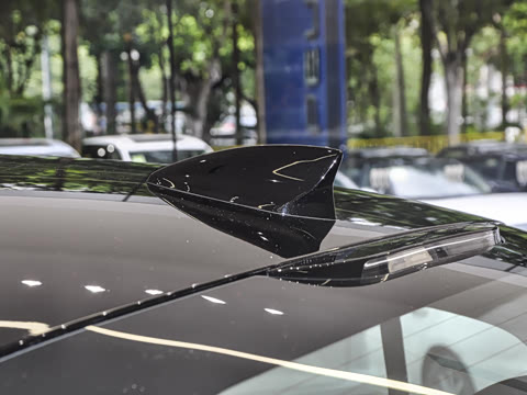 2025�� 25T ������