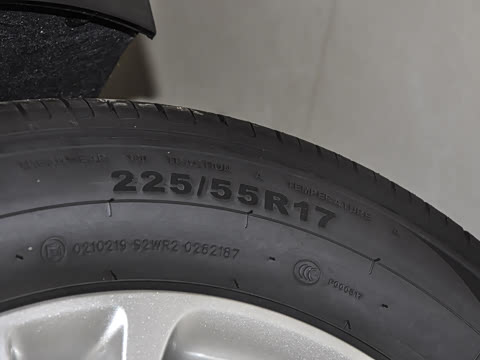 2025�� 25T ������