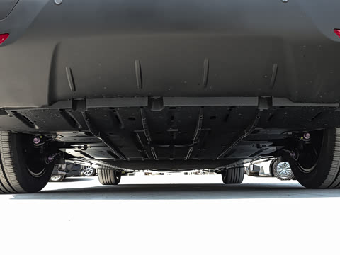 2026�� ������ JOY