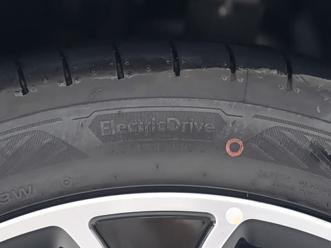 2026�� Z9S �����