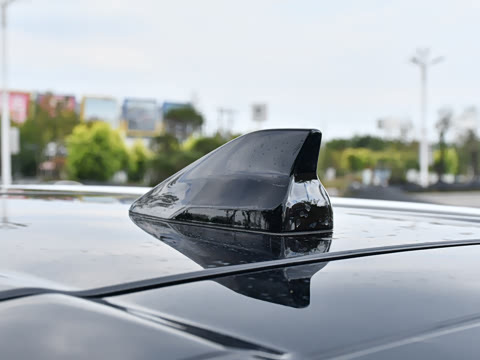 2025�� 290TGDI DCT���ư�