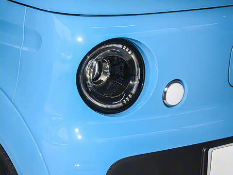 2025�� ������