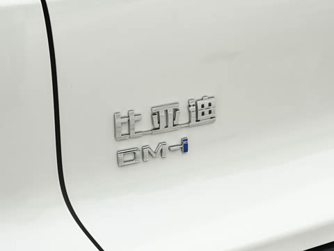 2026�� �ɳ۰� DM-i 220KM��Խ��