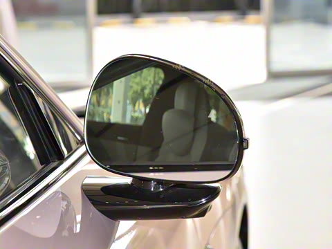 2025�� ������������Pro��